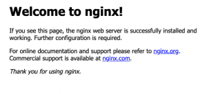 nginx página de inicio