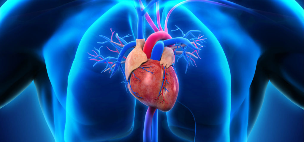 La Inteligencia Artificial es mas efectiva en salud cardiaca